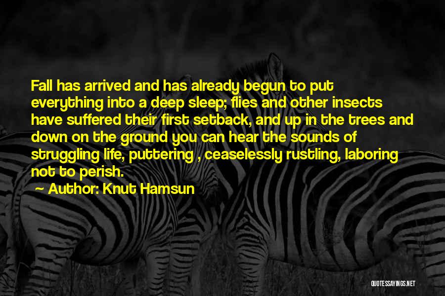 Flies Insects Quotes By Knut Hamsun