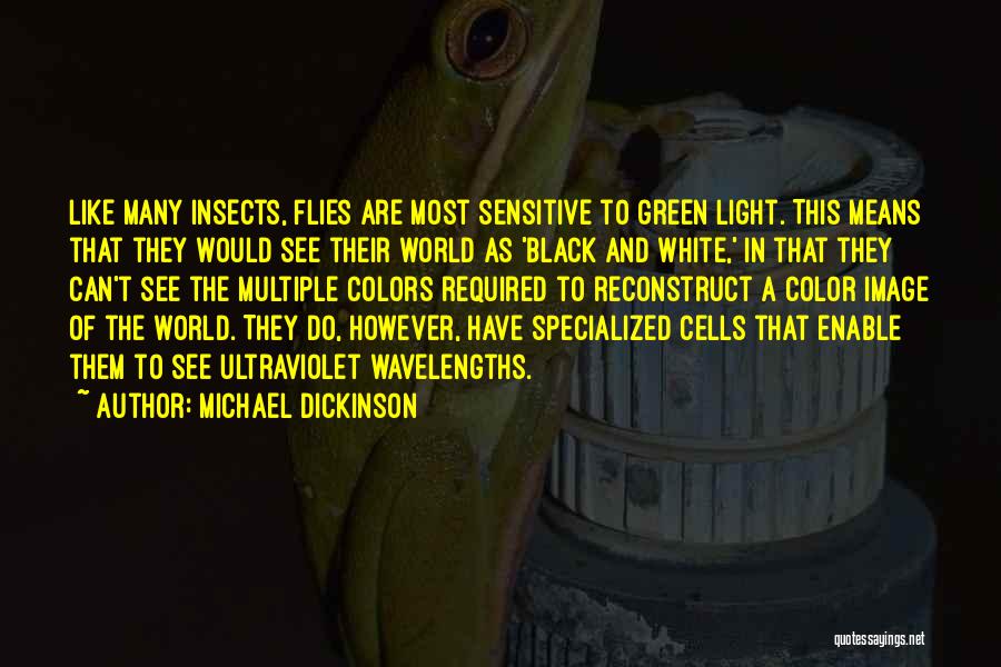 Flies Insects Quotes By Michael Dickinson