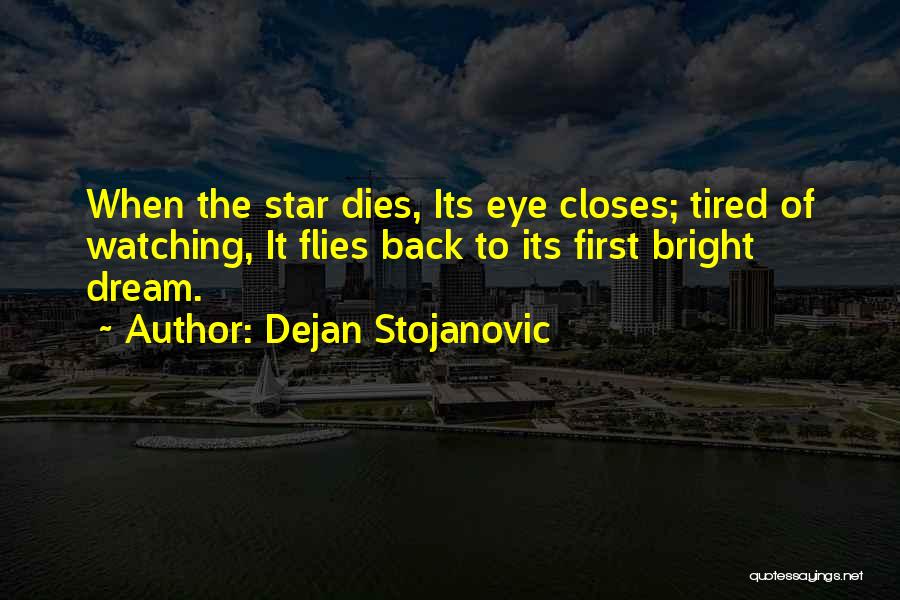 Flies Quotes By Dejan Stojanovic