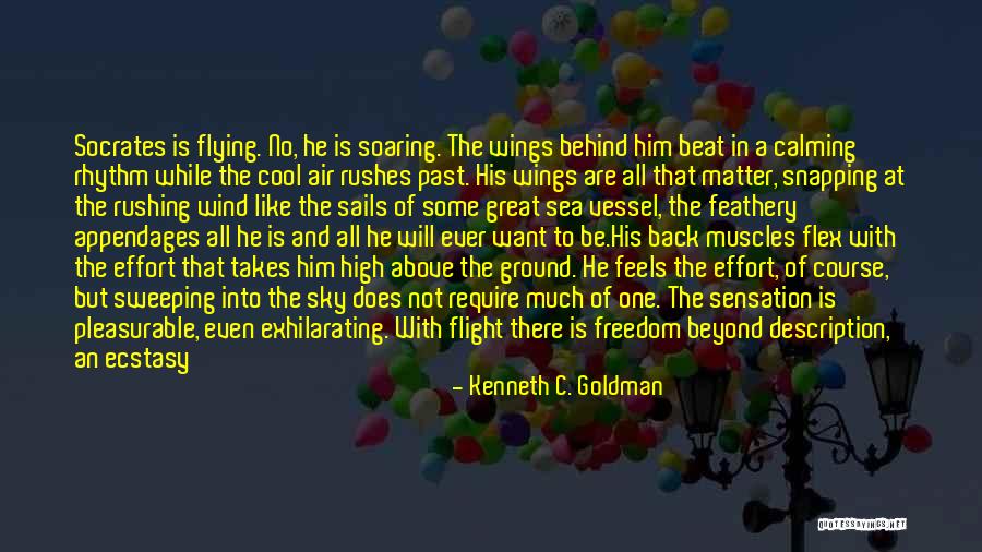Flight And Soaring Quotes By Kenneth C. Goldman Flight And Soaring Quotes By Kenneth C. Goldman