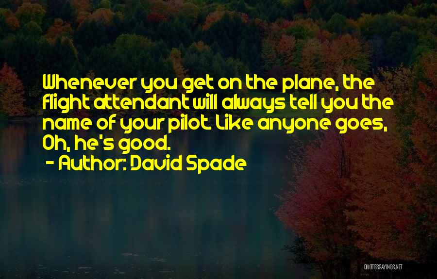 Flight Attendant Quotes By David Spade