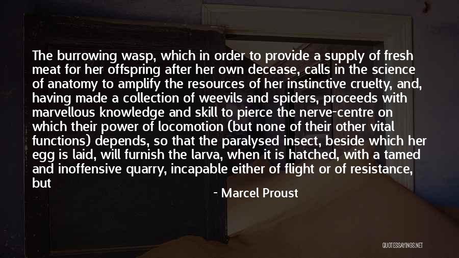 Flight Centre Quotes By Marcel Proust Flight Centre Quotes By Marcel Proust