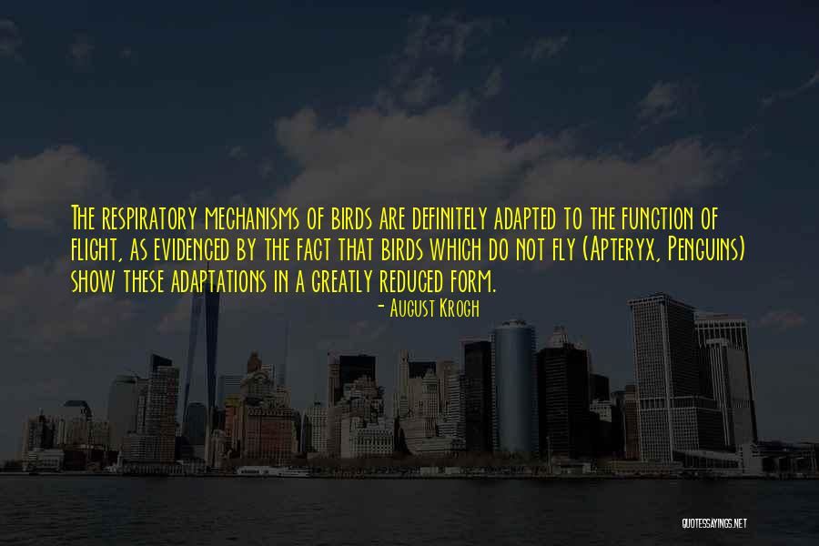 Flight Of Birds Quotes By August Krogh Flight Of Birds Quotes By August Krogh