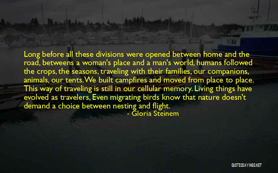 Flight Of Birds Quotes By Gloria Steinem Flight Of Birds Quotes By Gloria Steinem