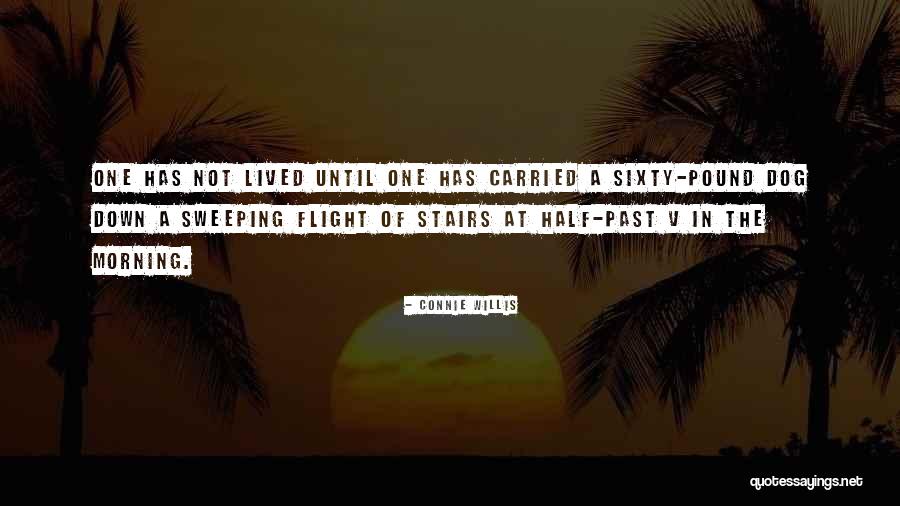 Flight Of Stairs Quotes By Connie Willis Flight Of Stairs Quotes By Connie Willis
