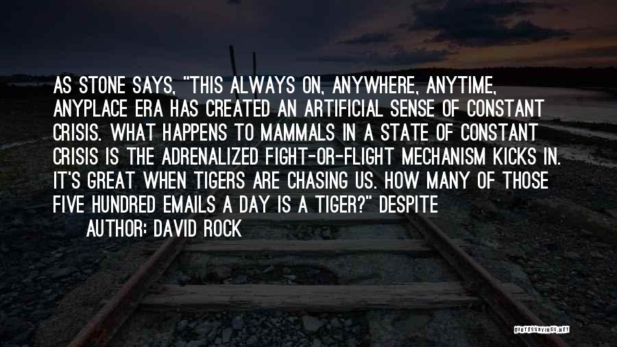 Flight Or Fight Quotes By David Rock