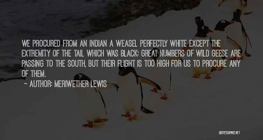 Flight Quotes By Meriwether Lewis