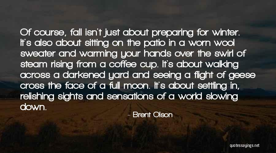 Flight Rising Flight Quotes By Brent Olson Flight Rising Flight Quotes By Brent Olson