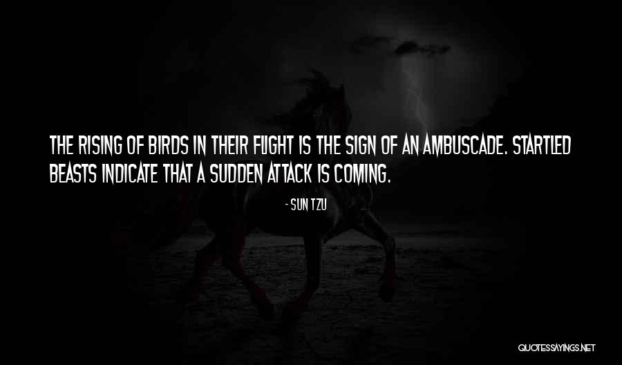 Flight Rising Flight Quotes By Sun Tzu Flight Rising Flight Quotes By Sun Tzu