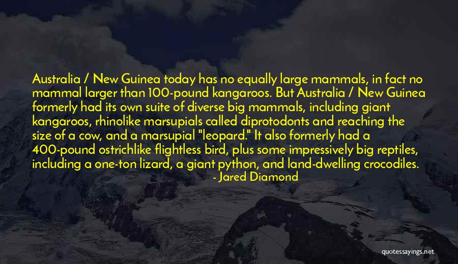 Flightless Bird Quotes By Jared Diamond Flightless Bird Quotes By Jared Diamond