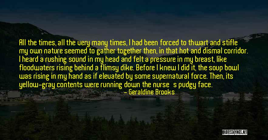 Flimsy Quotes By Geraldine Brooks Flimsy Quotes By Geraldine Brooks