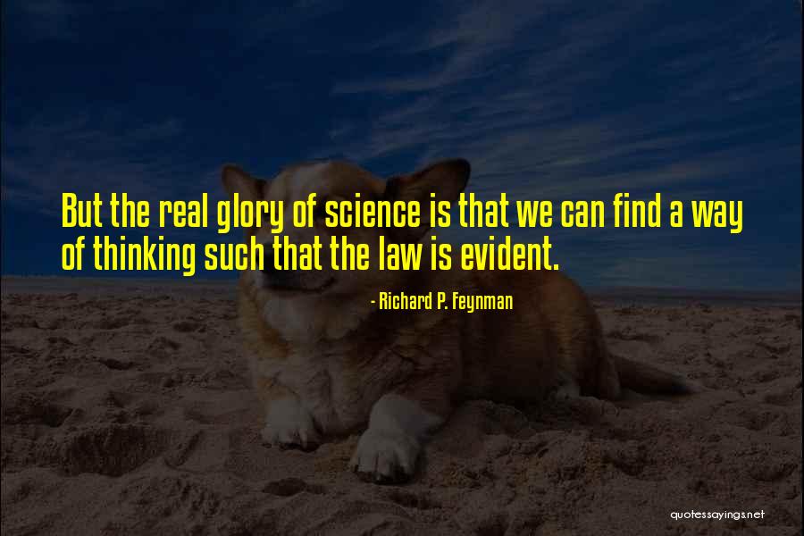 Flinchum Sunflower Quotes By Richard P. Feynman