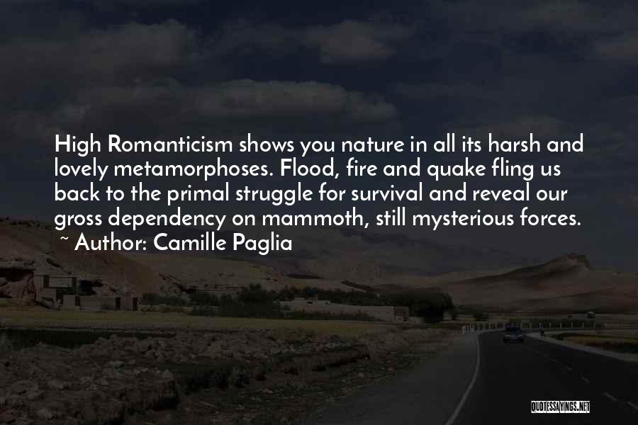 Fling Quotes By Camille Paglia