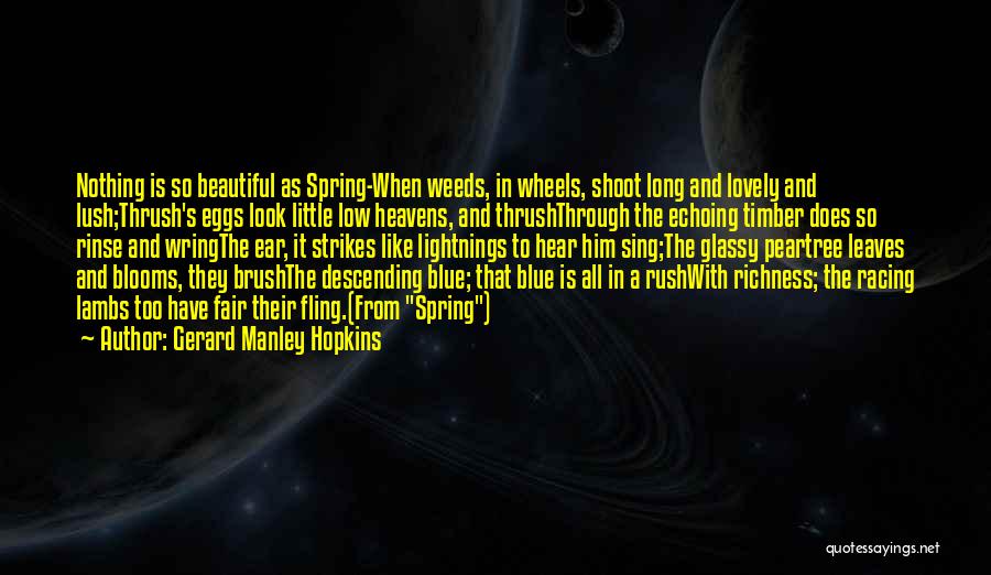 Fling Quotes By Gerard Manley Hopkins