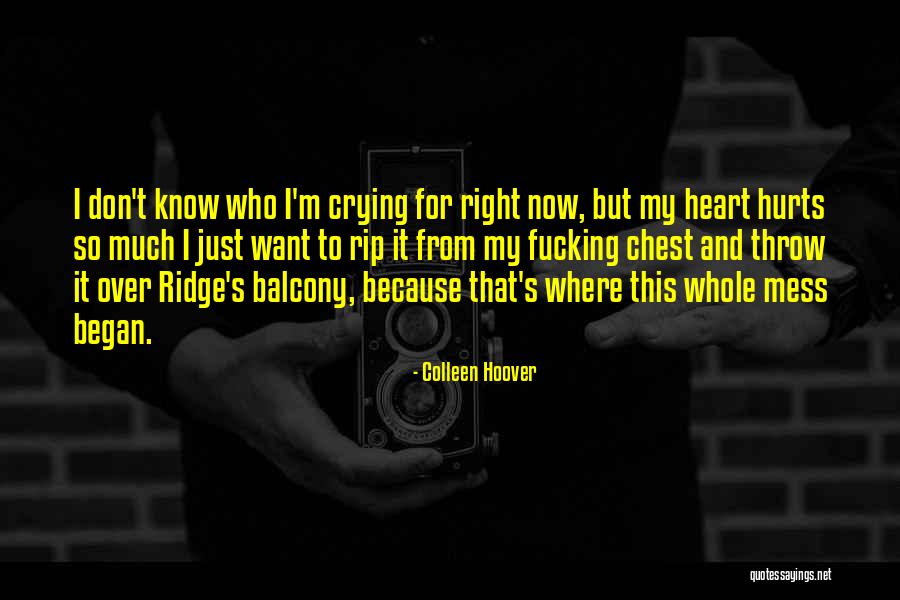 Flintobox Quotes By Colleen Hoover Flintobox Quotes By Colleen Hoover