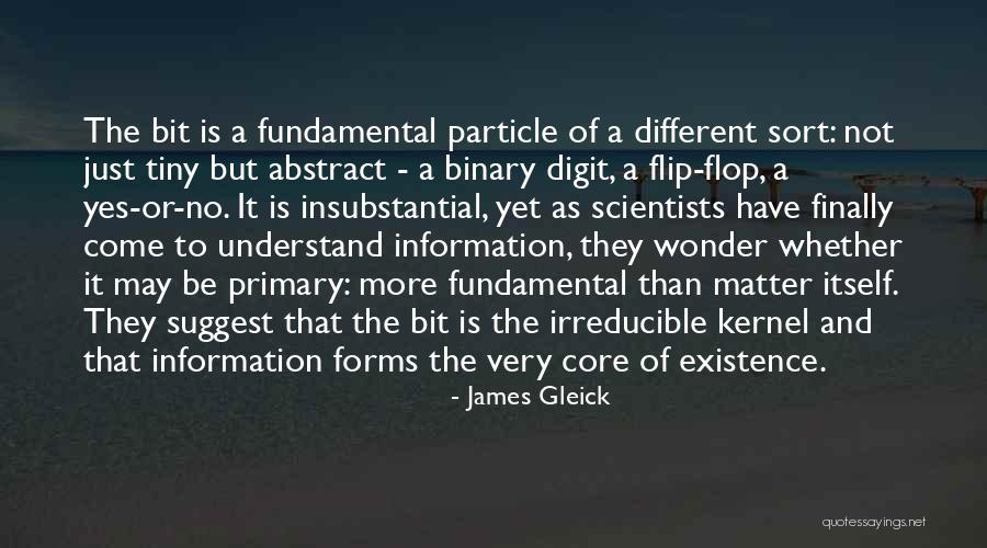 Flip Flop Quotes By James Gleick Flip Flop Quotes By James Gleick