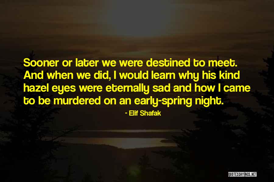 Flipar En Quotes By Elif Shafak Flipar En Quotes By Elif Shafak