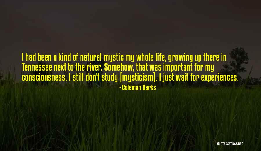 Flipper Quotes By Coleman Barks Flipper Quotes By Coleman Barks