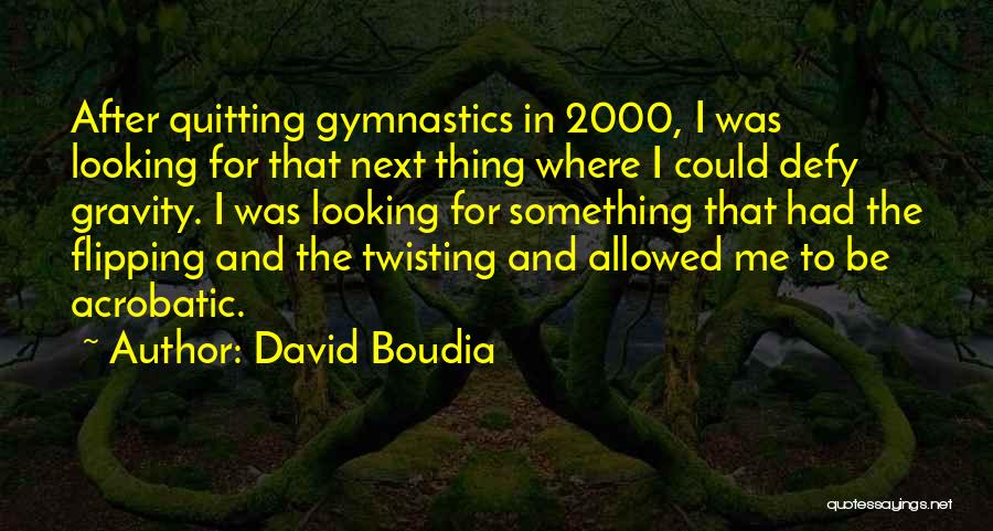 Flipping Gymnastics Quotes By David Boudia