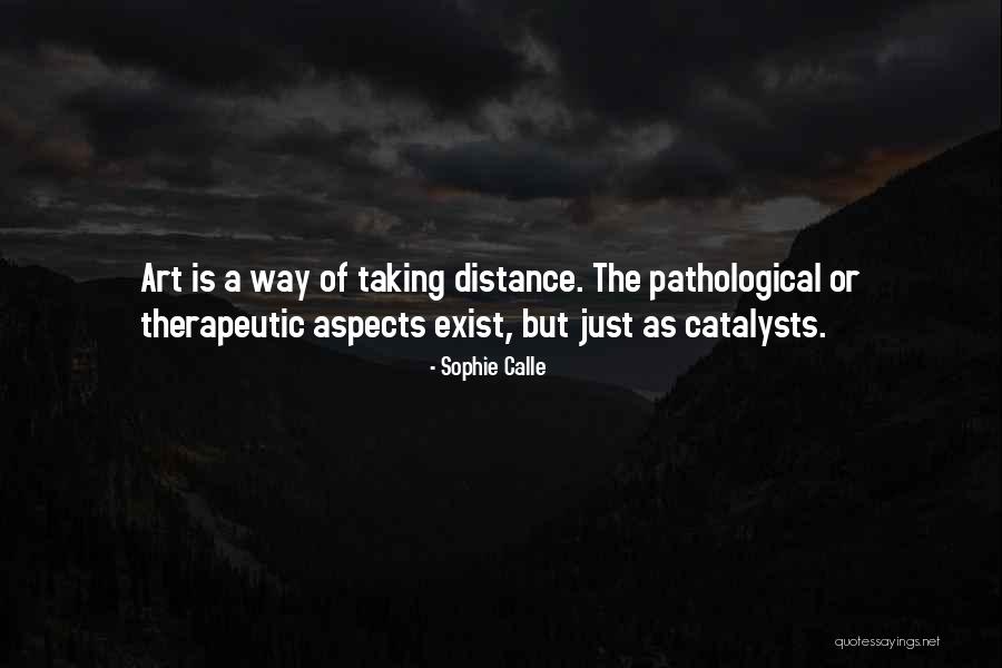Flirting With Danger Quotes By Sophie Calle Flirting With Danger Quotes By Sophie Calle