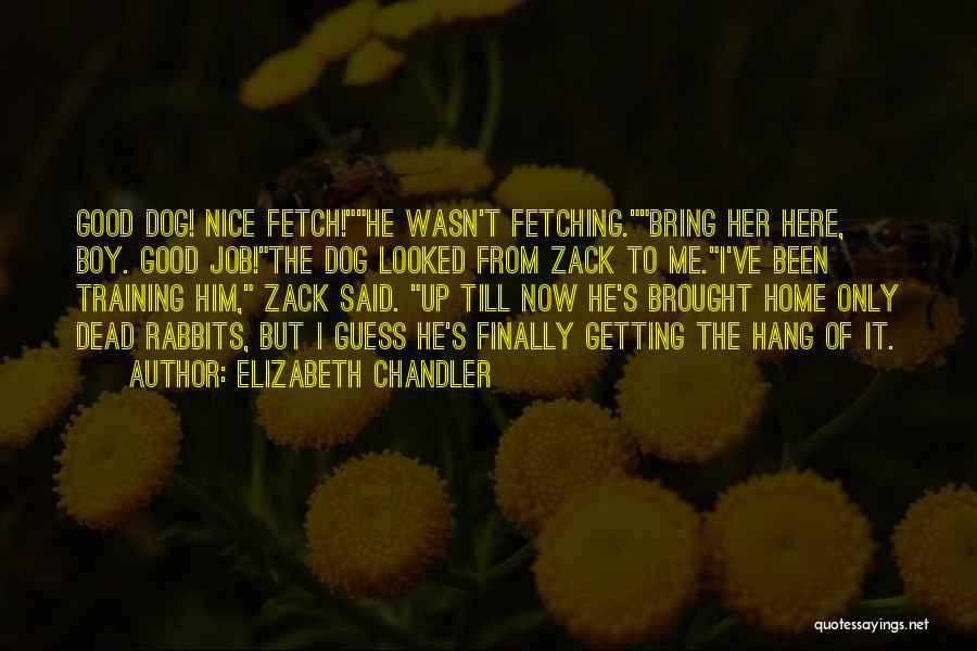 Flirty Boy Quotes By Elizabeth Chandler