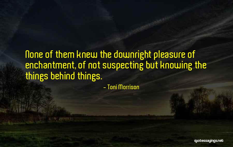 Flitered Quotes By Toni Morrison Flitered Quotes By Toni Morrison