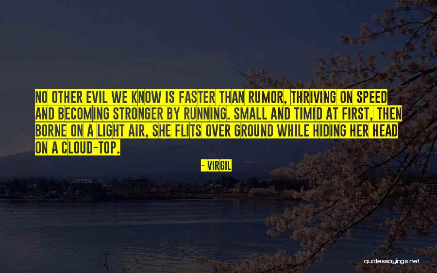 Flits Quotes By Virgil Flits Quotes By Virgil