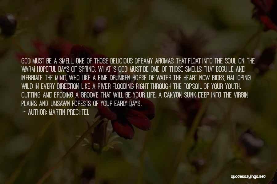 Float Through Life Quotes By Martin Prechtel