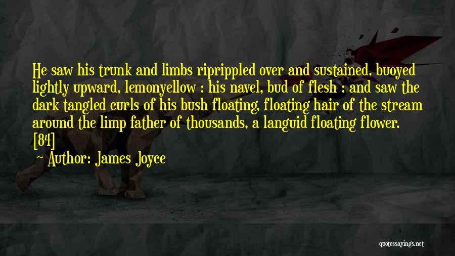 Floating Flower Quotes By James Joyce