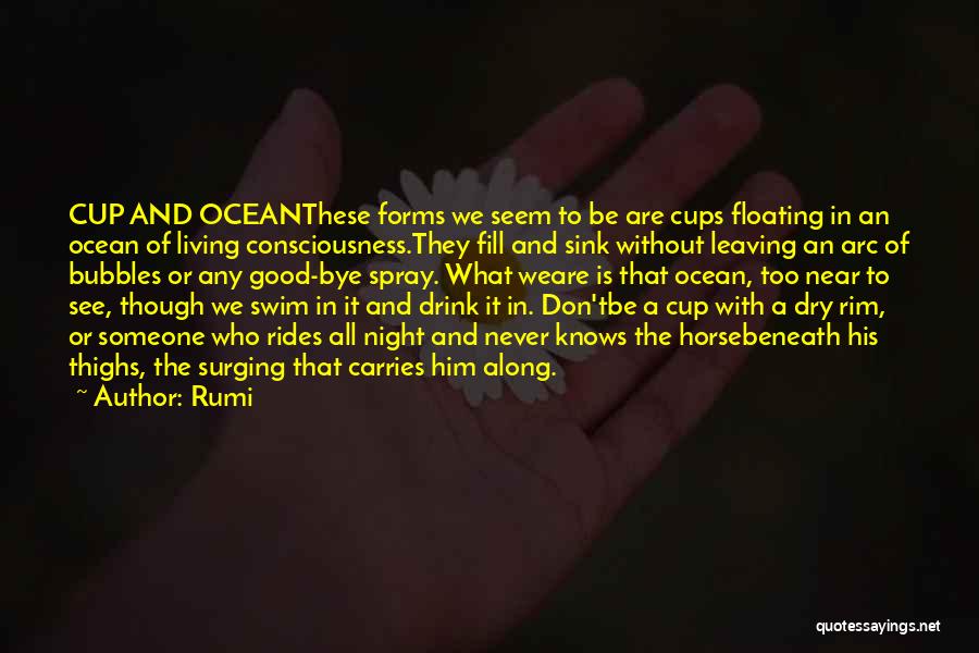 Floating In Ocean Quotes By Rumi