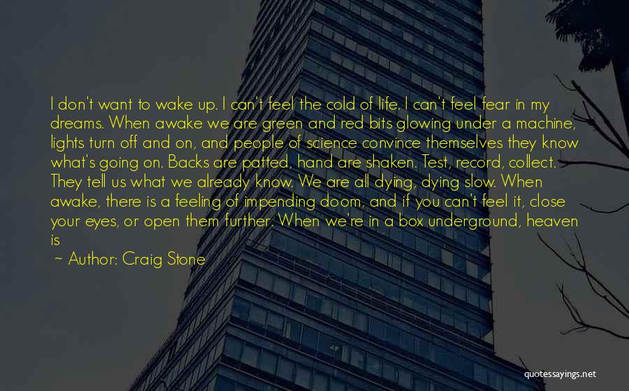 Floating In The Sky Quotes By Craig Stone