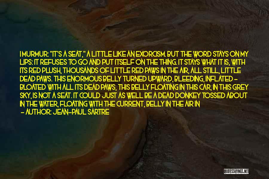 Floating In The Sky Quotes By Jean-Paul Sartre