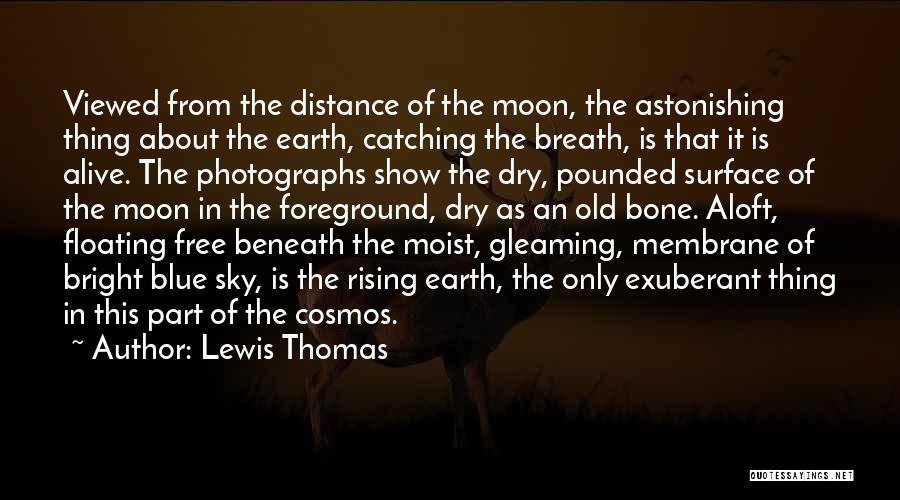 Floating In The Sky Quotes By Lewis Thomas