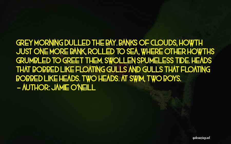 Floating On Clouds Quotes By Jamie O'Neill