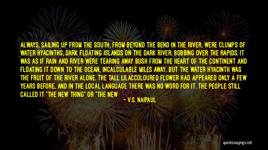 Floating On Water Quotes By V.S. Naipaul