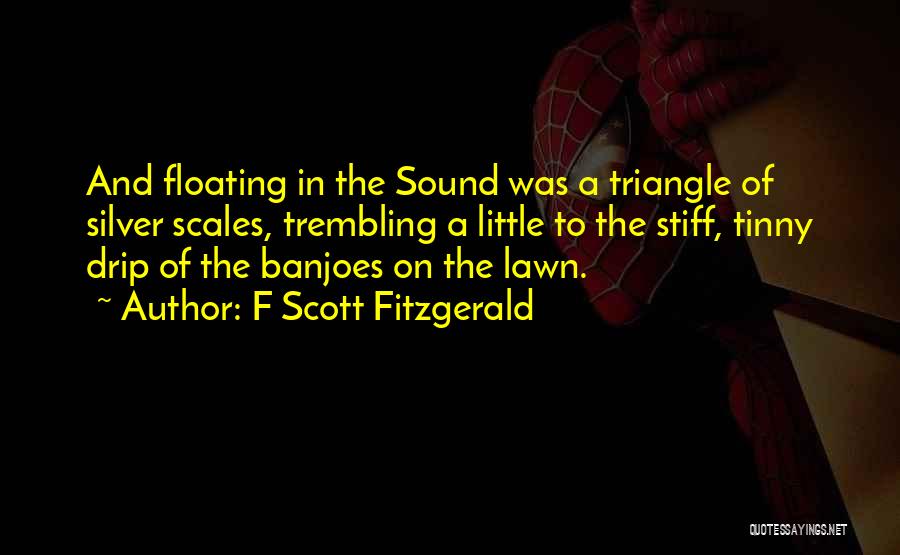 Floating Quotes By F Scott Fitzgerald