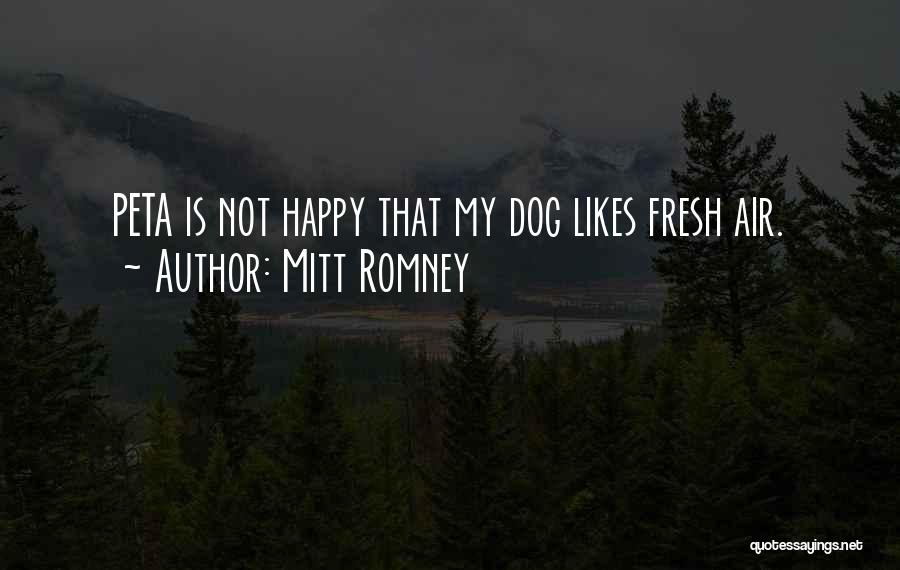 Floccinihilipilification Quotes By Mitt Romney