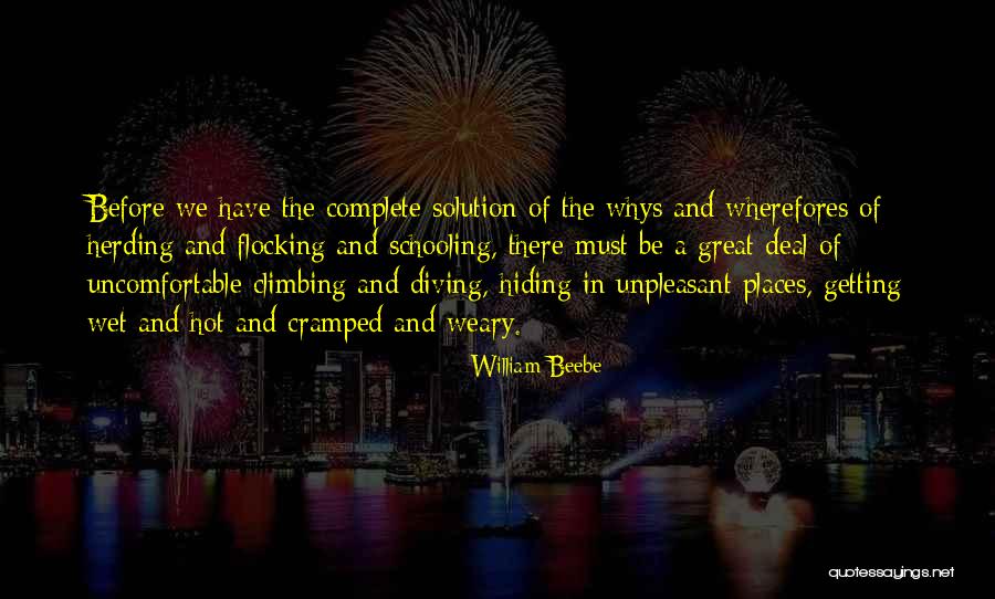 Flocking Quotes By William Beebe