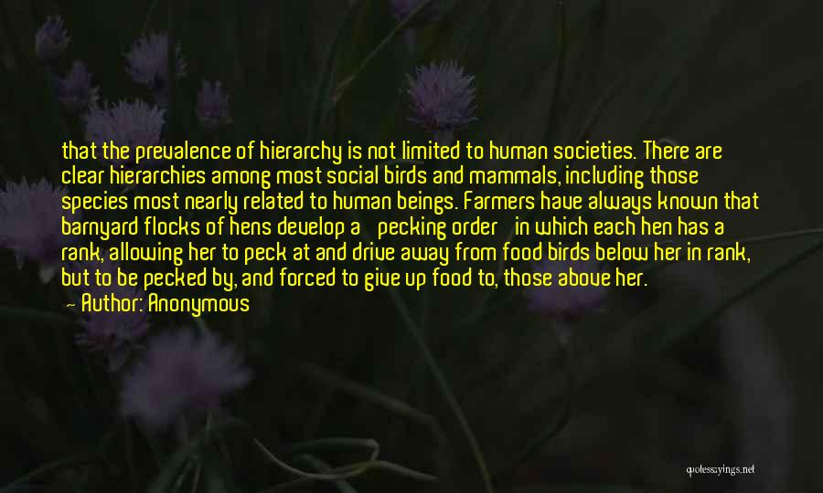 Flocks Of Birds Quotes By Anonymous