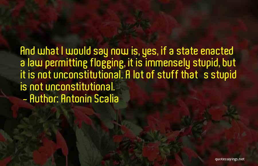 Flogging Quotes By Antonin Scalia