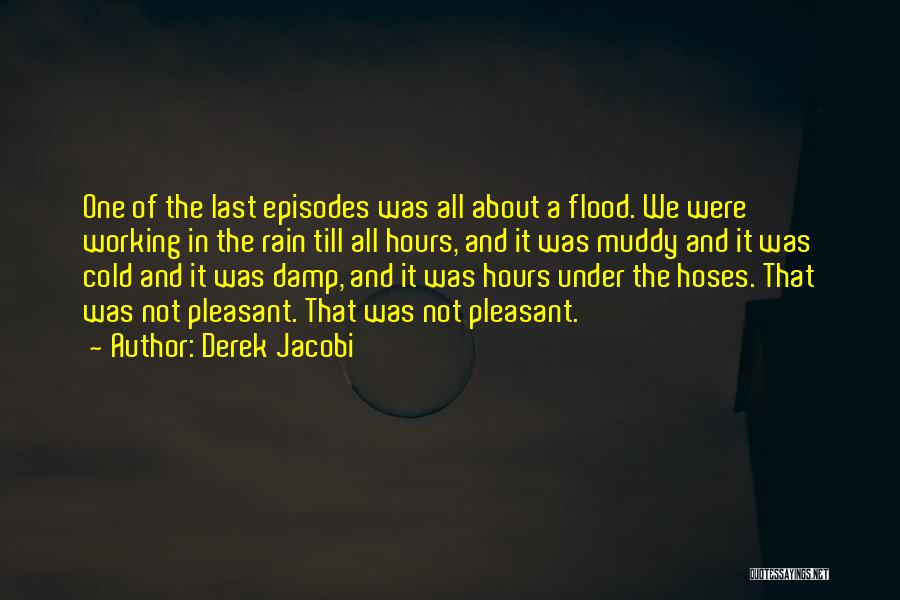 Flood And Rain Quotes By Derek Jacobi