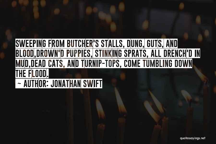 Flood And Rain Quotes By Jonathan Swift