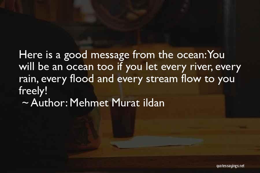 Flood And Rain Quotes By Mehmet Murat Ildan