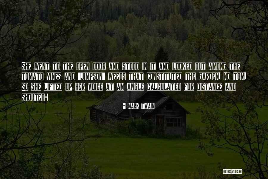 Flood It Bot Quotes By Mark Twain