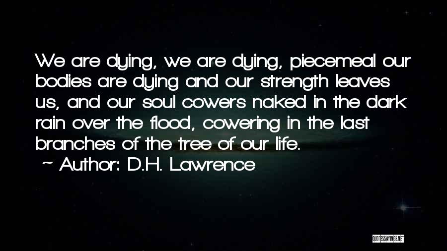 Flood Quotes By D.H. Lawrence