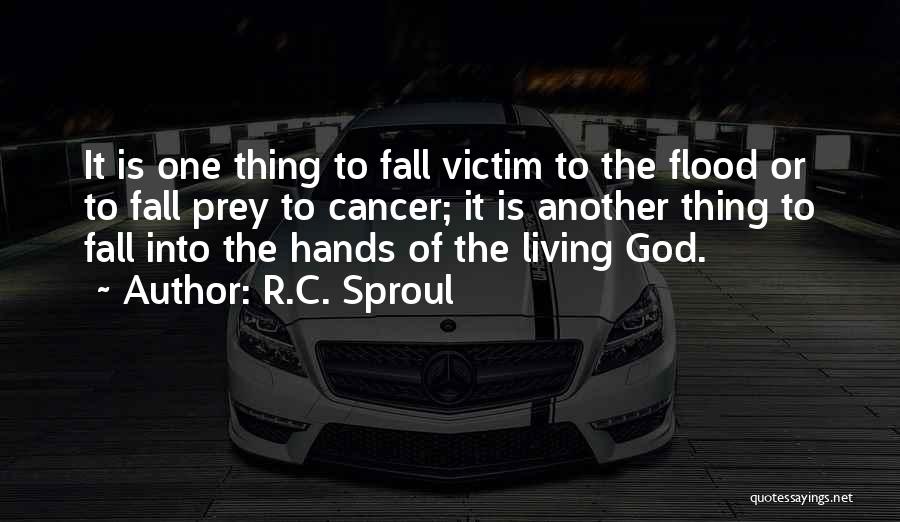 Flood Quotes By R.C. Sproul