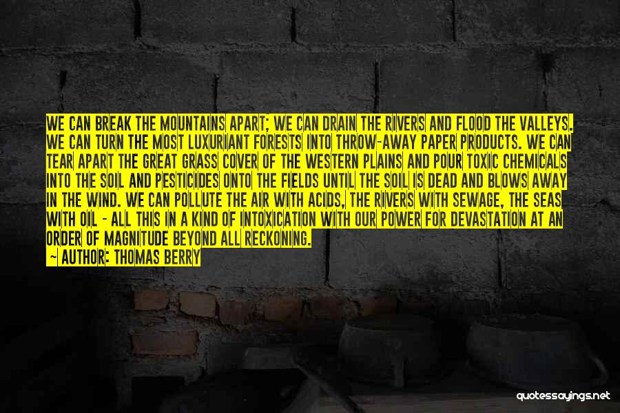 Flood Quotes By Thomas Berry