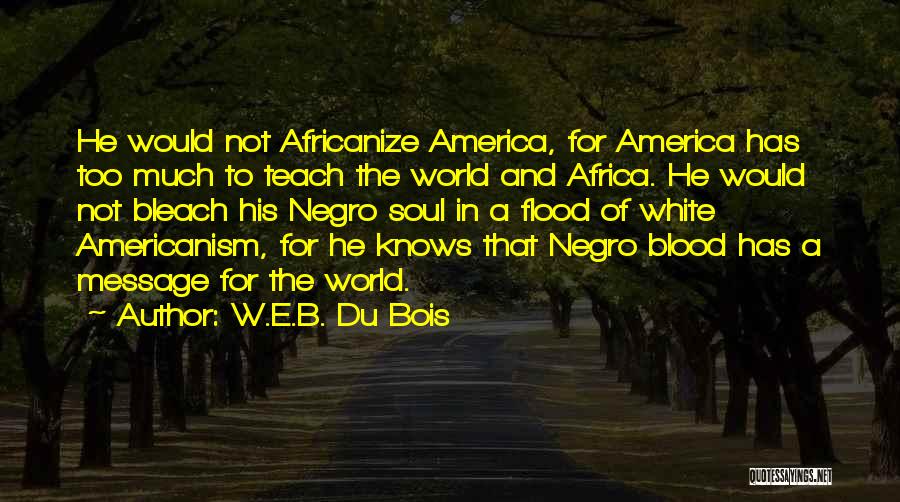 Flood Quotes By W.E.B. Du Bois