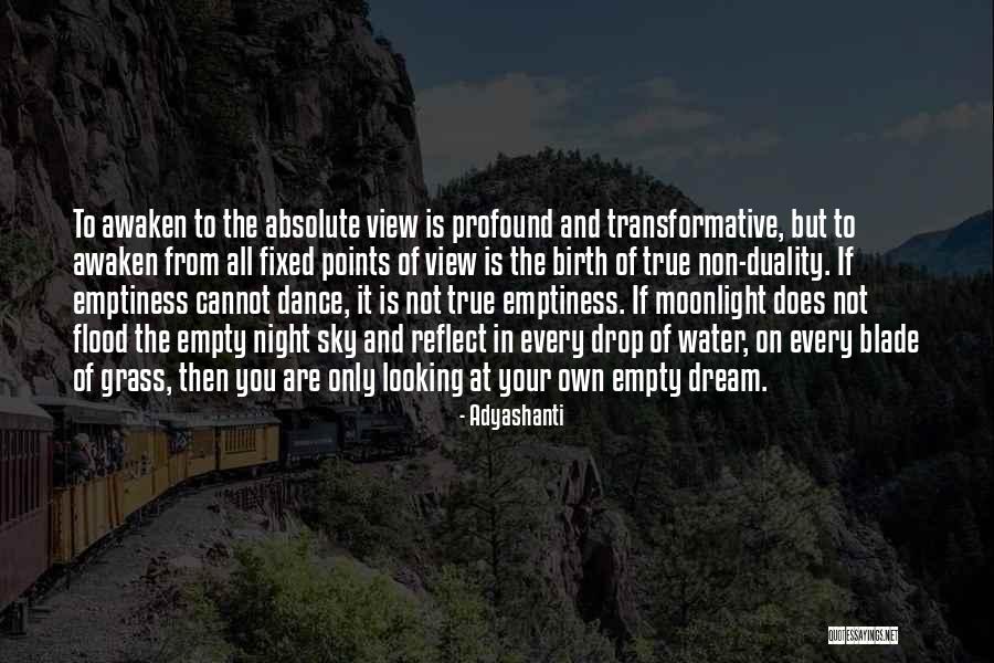 Flood Water Quotes By Adyashanti Flood Water Quotes By Adyashanti