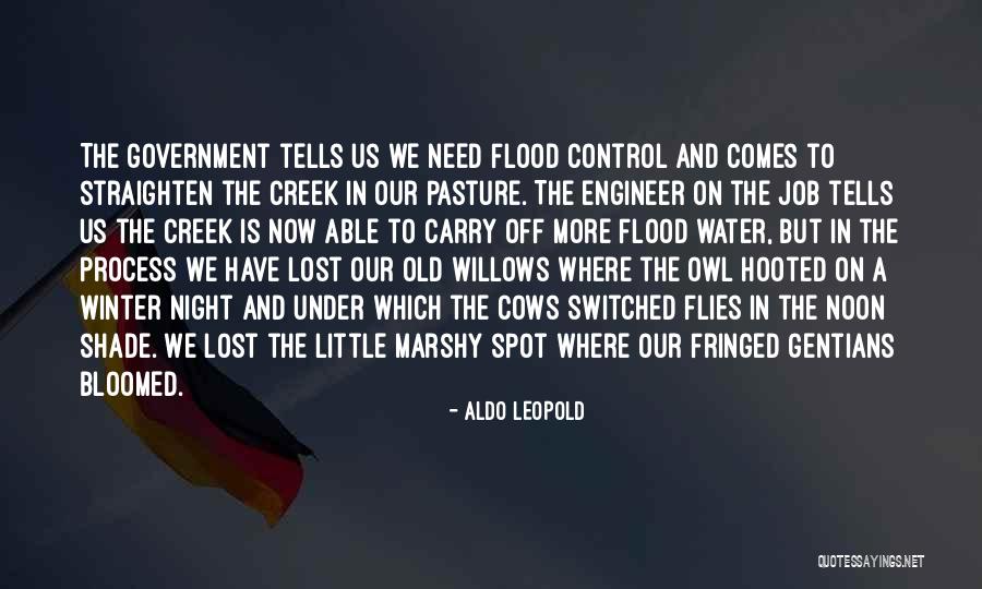 Flood Water Quotes By Aldo Leopold Flood Water Quotes By Aldo Leopold